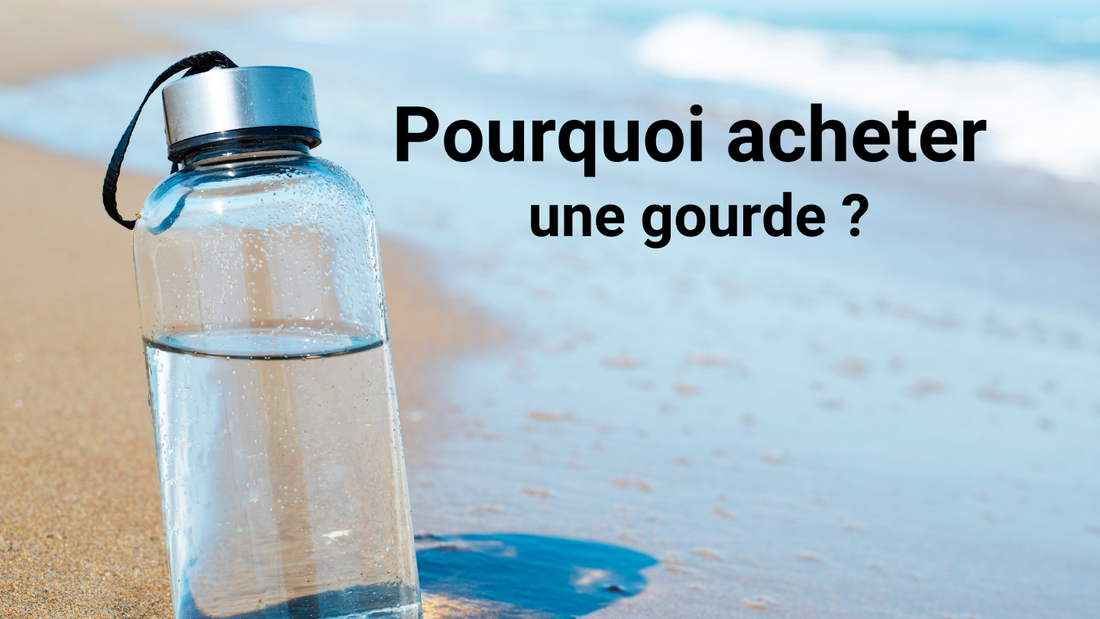 Guide complet : Pourquoi acheter une gourde