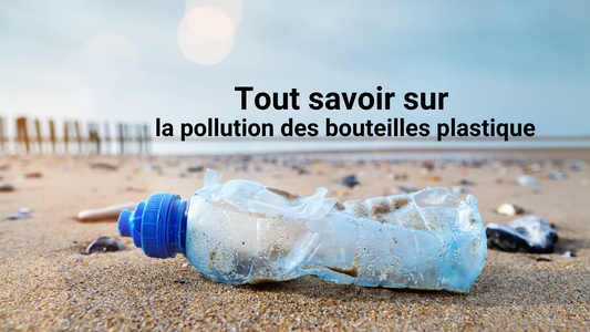 Tout savoir sur la pollution des bouteilles plastique