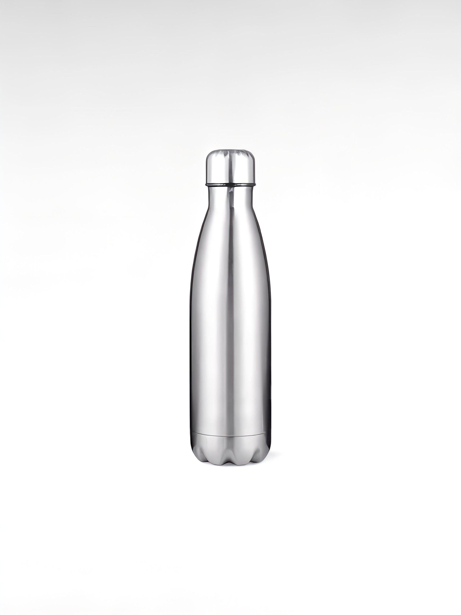 Gourde isotherme design argent / 350ml / acier inoxydable