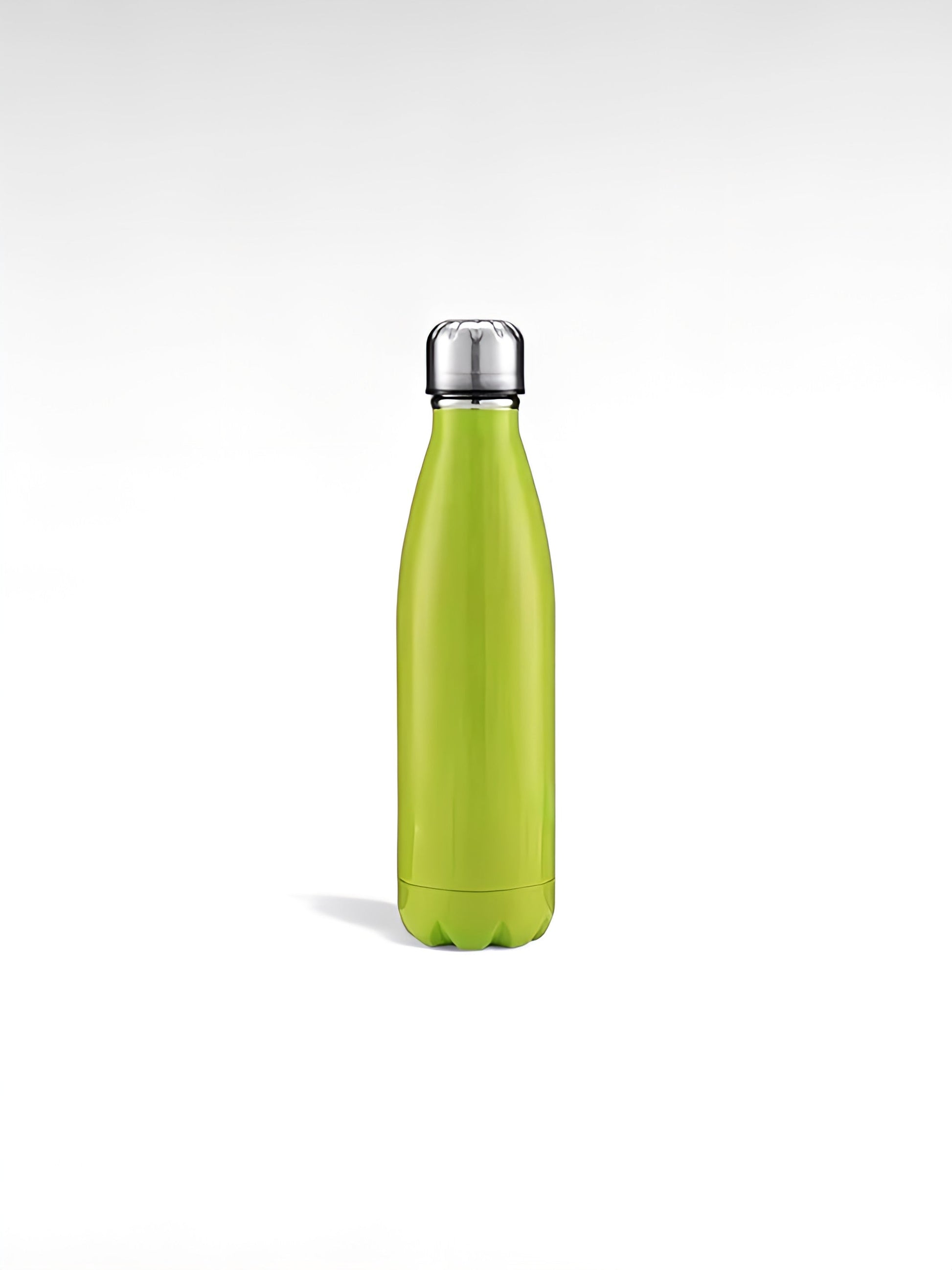 Gourde isotherme design vert / 500ml / acier inoxydable