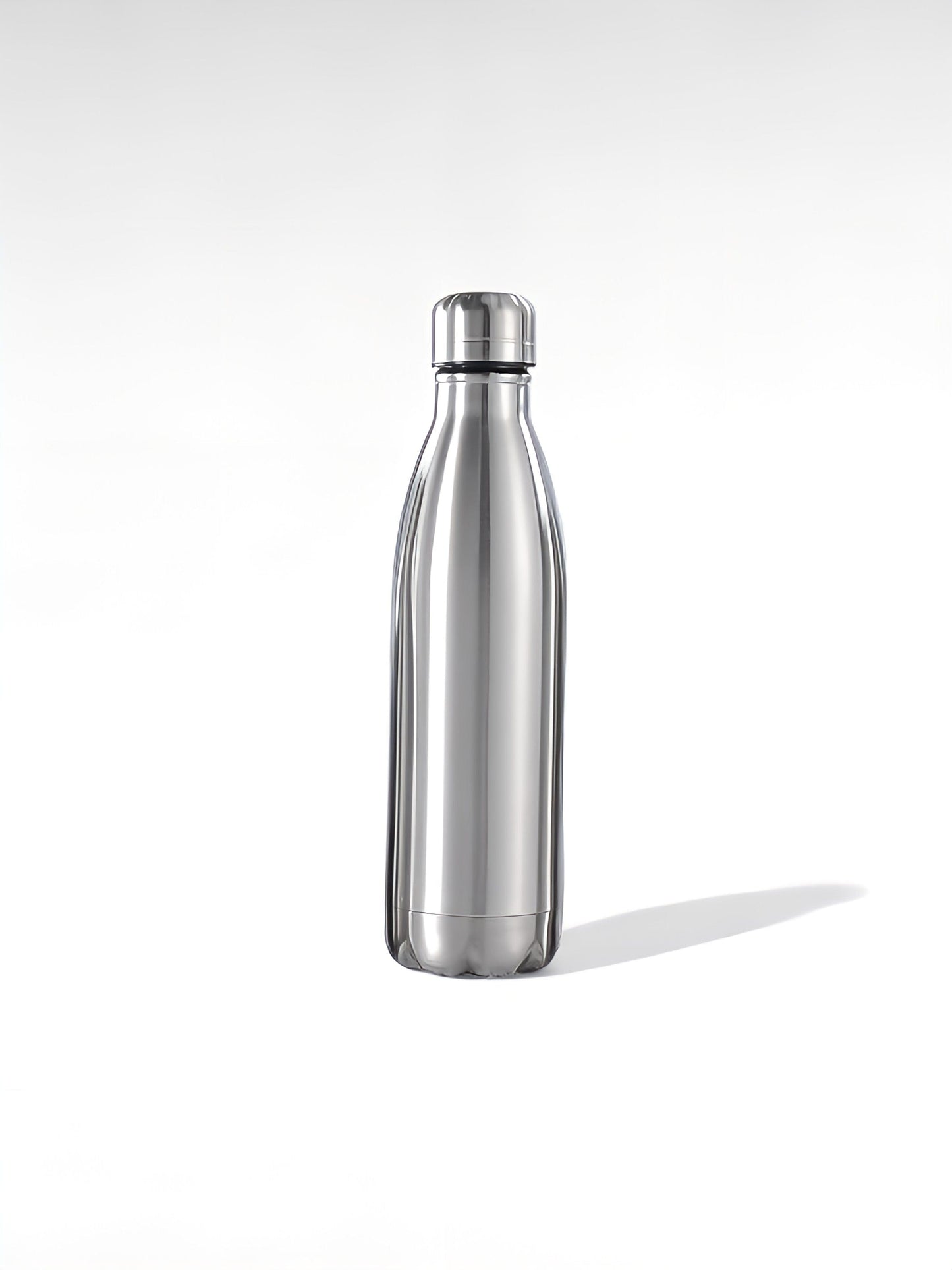 Gourde isotherme inox argent / 500ml / acier inoxydable