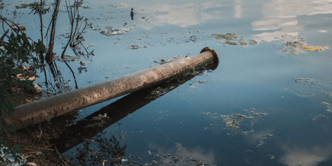 Tuyau rejetant de l'eau dans un lac